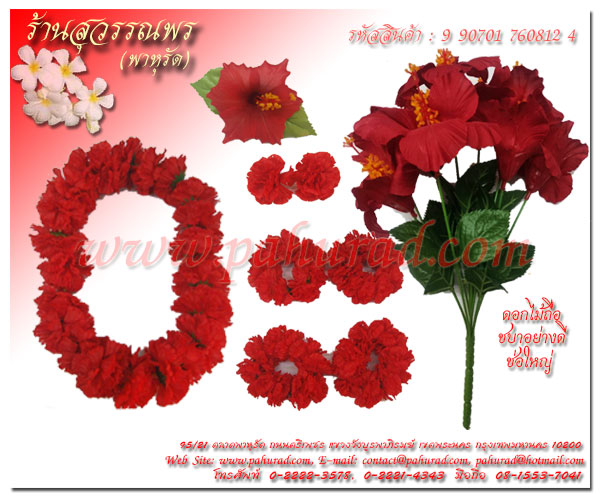 �ش�͡���ᴧ ������/�ҧ��� 6 ��¡�� �ش�˭�